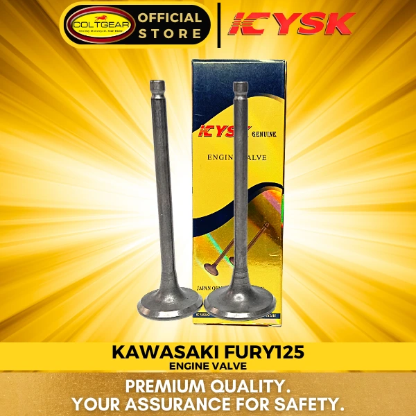 ENGINE VALVE FURY YSK